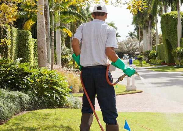 About Salem IA Pest Control
